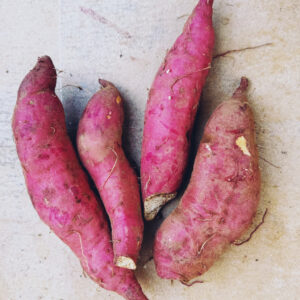 Patate douce