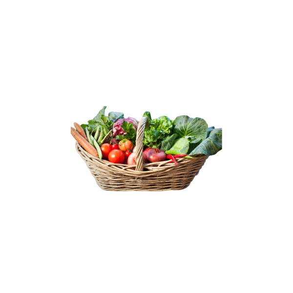 Panier découverte