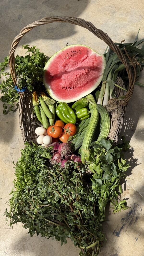 Panier découverte – Image 3
