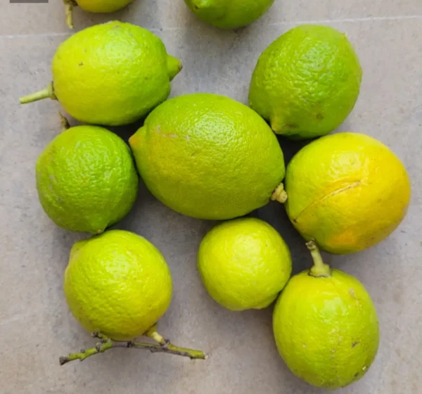 Citron