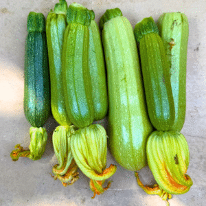 Courgette