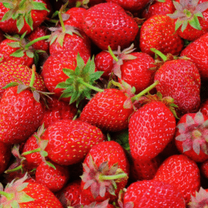 Fraise