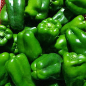 Poivron