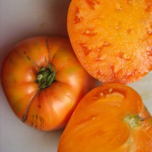 Tomate Cœur de Bœuf