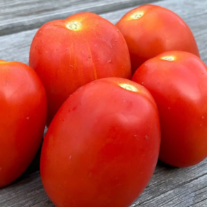 Tomate Rouge