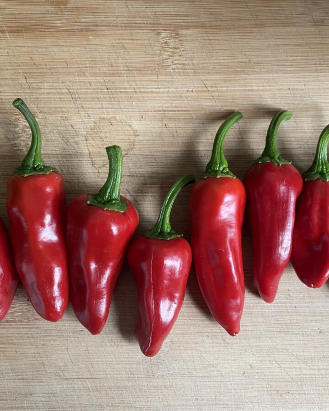 Piment rouge Gorria