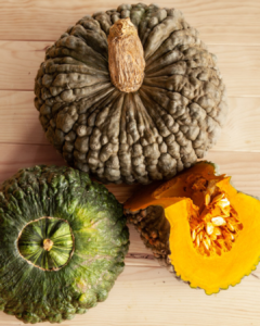 courge marina di chiogga bio Zitouna Life