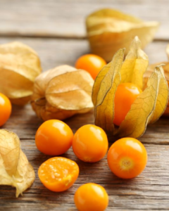 Physalis bio Zitouna Life