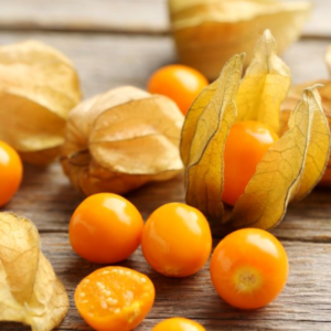 Physalis