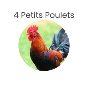 4 Petits Poulets Beldi