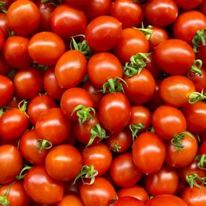 tomate cerise rouge bio Zitouna Life