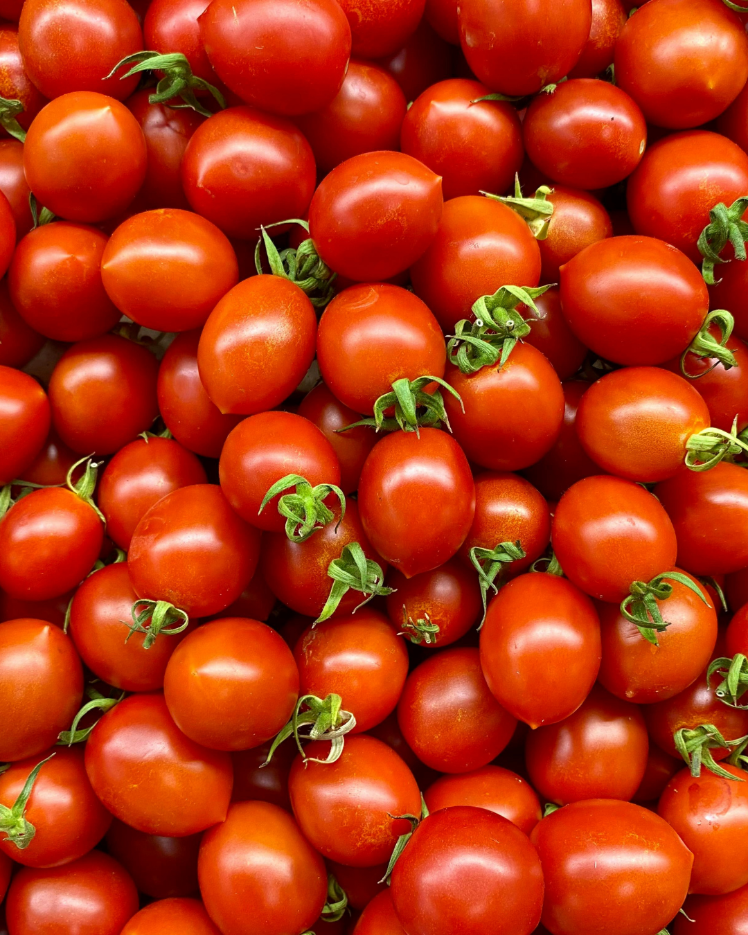 tomate cerise rouge bio Zitouna Life