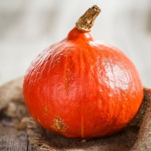 Potimarron